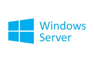 windows server software